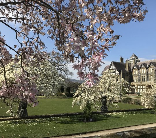 Bodnant Garden