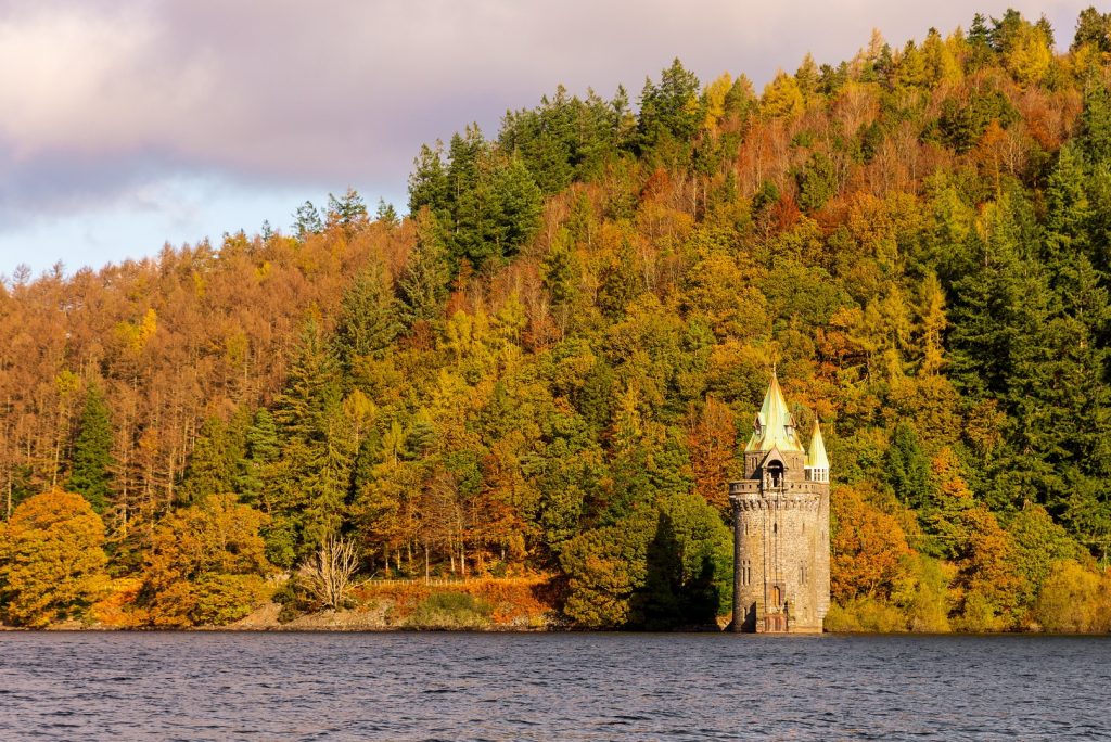 Five great reasons to get out for an Autumn Walk in Wales in 2022