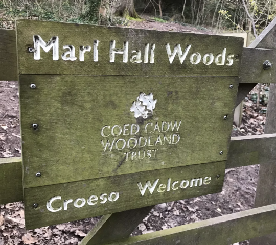 Marl Hall Woods