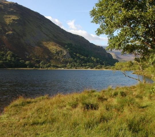 Llyn Gwynant