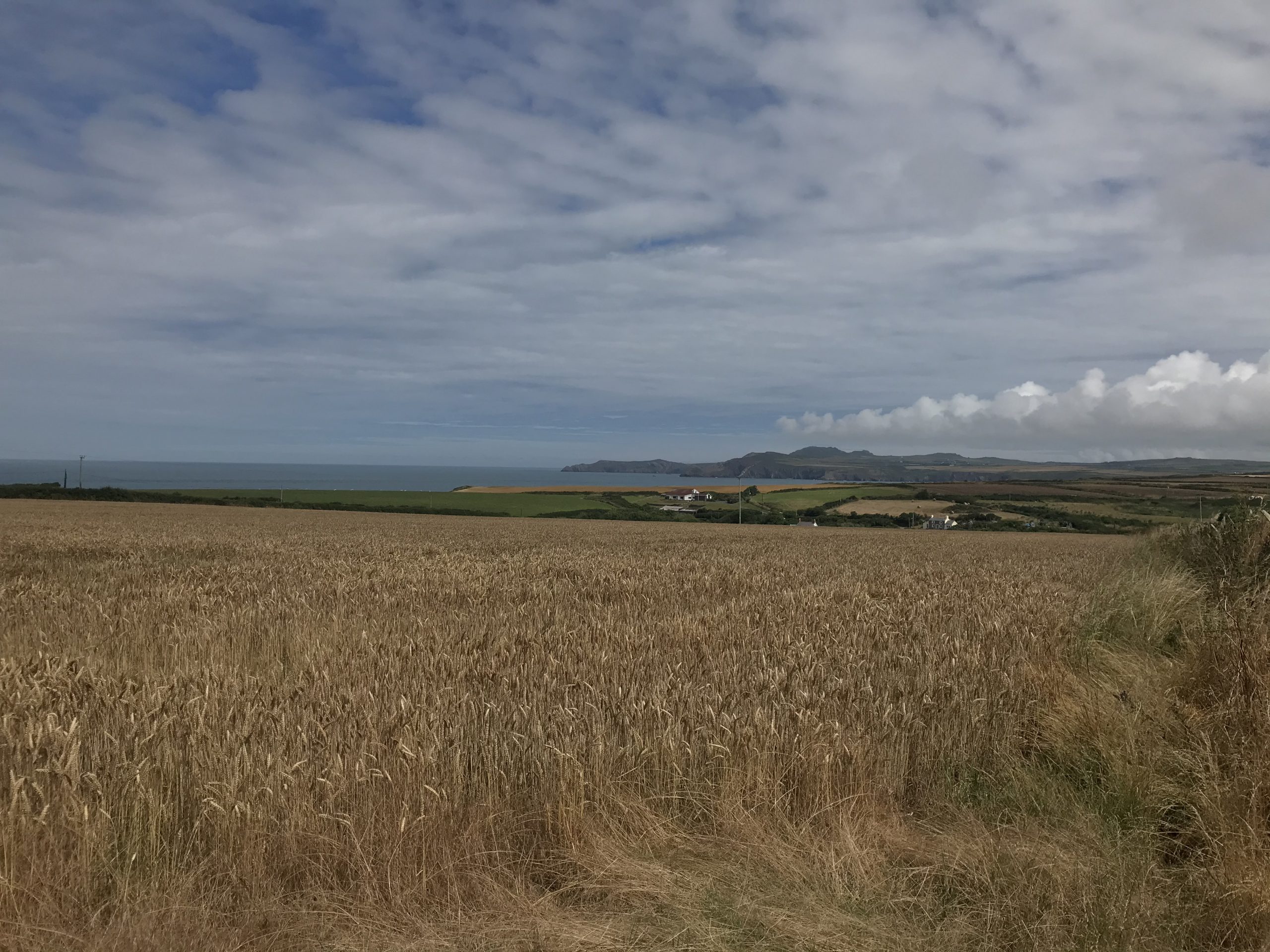 Camping Pembrokeshire