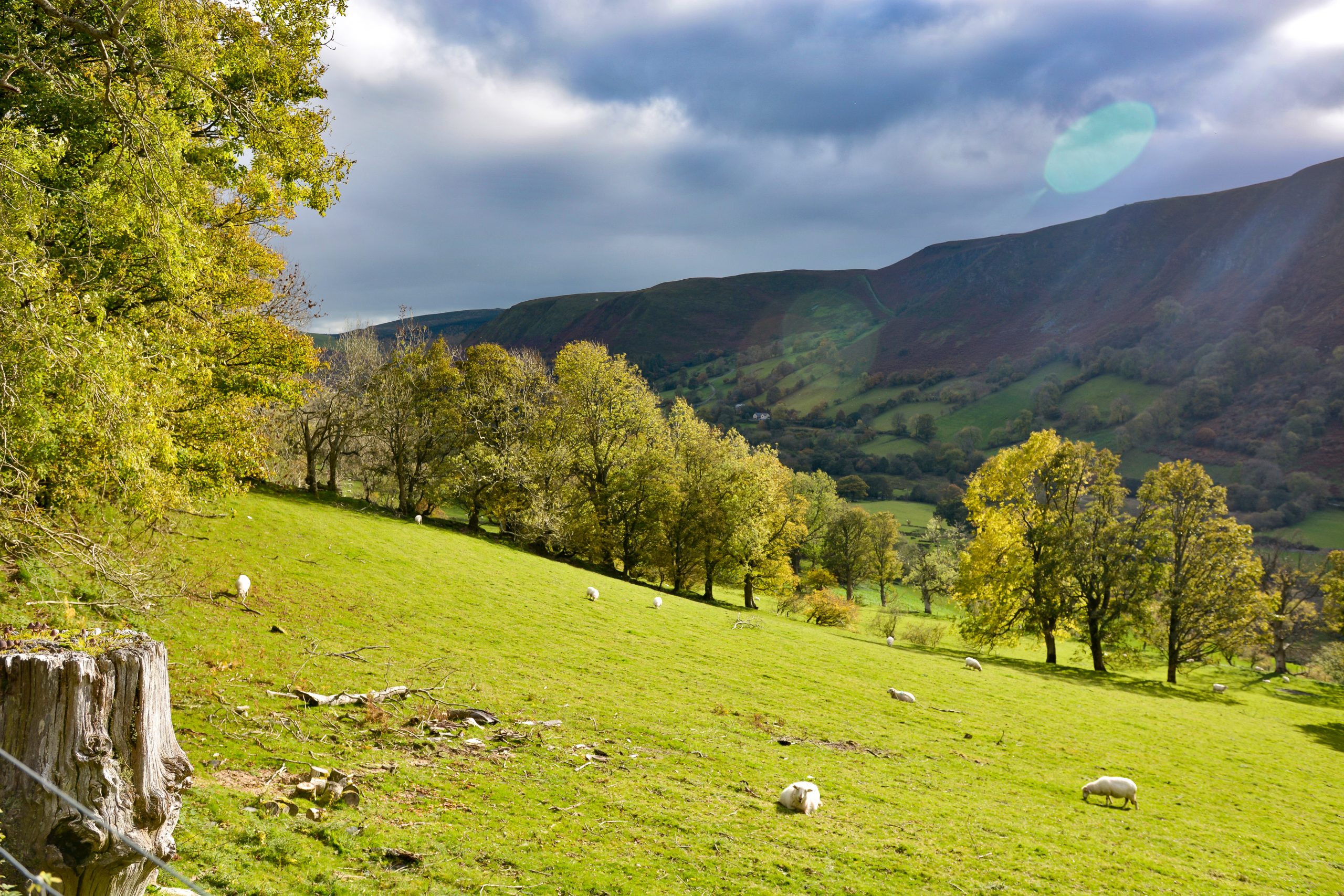 A Picturesque Valley near Newtown, Wales.