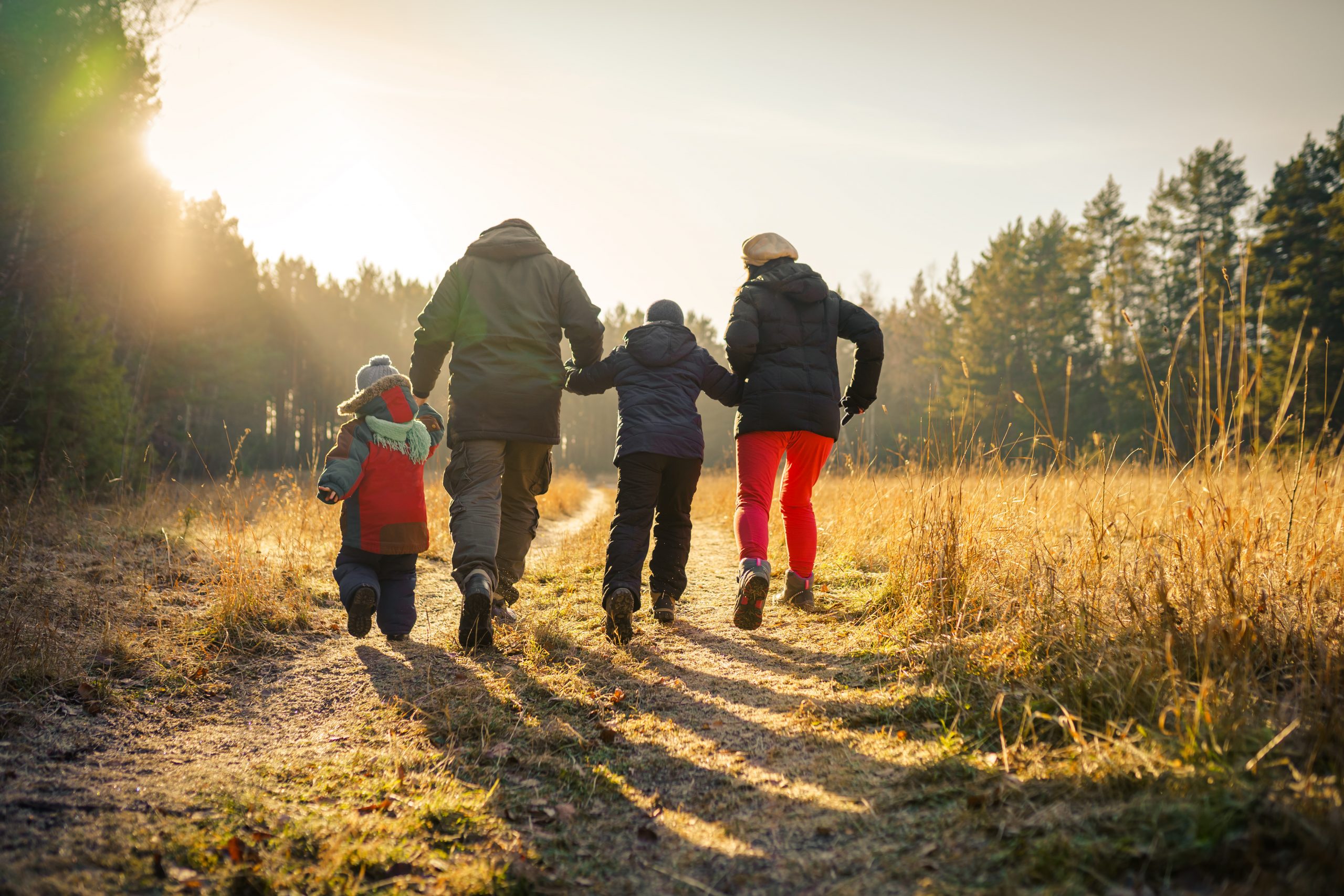 Free February Half-Term Activities in Wales in 2023