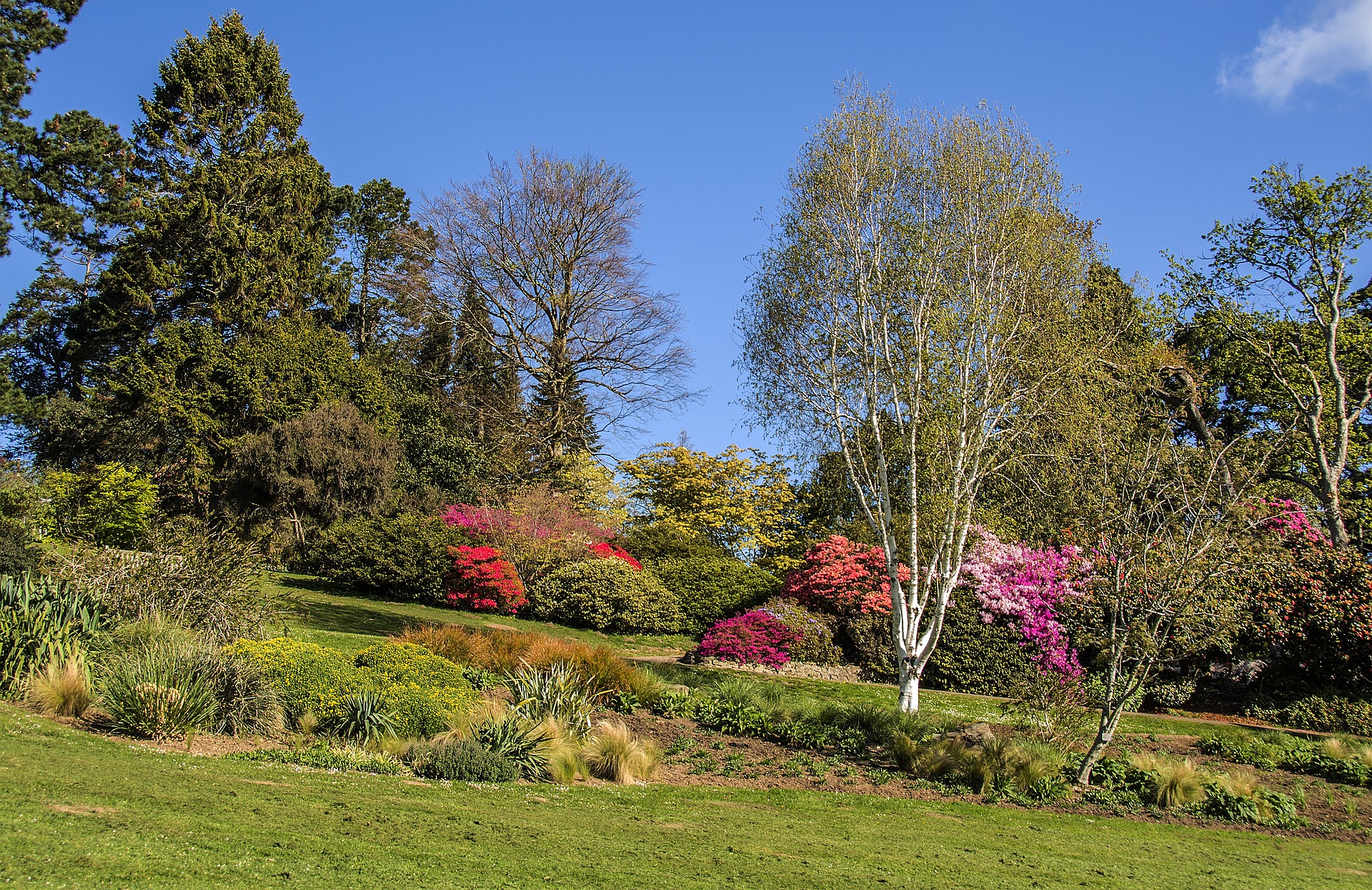 Swansea park