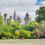 bute park cardiff