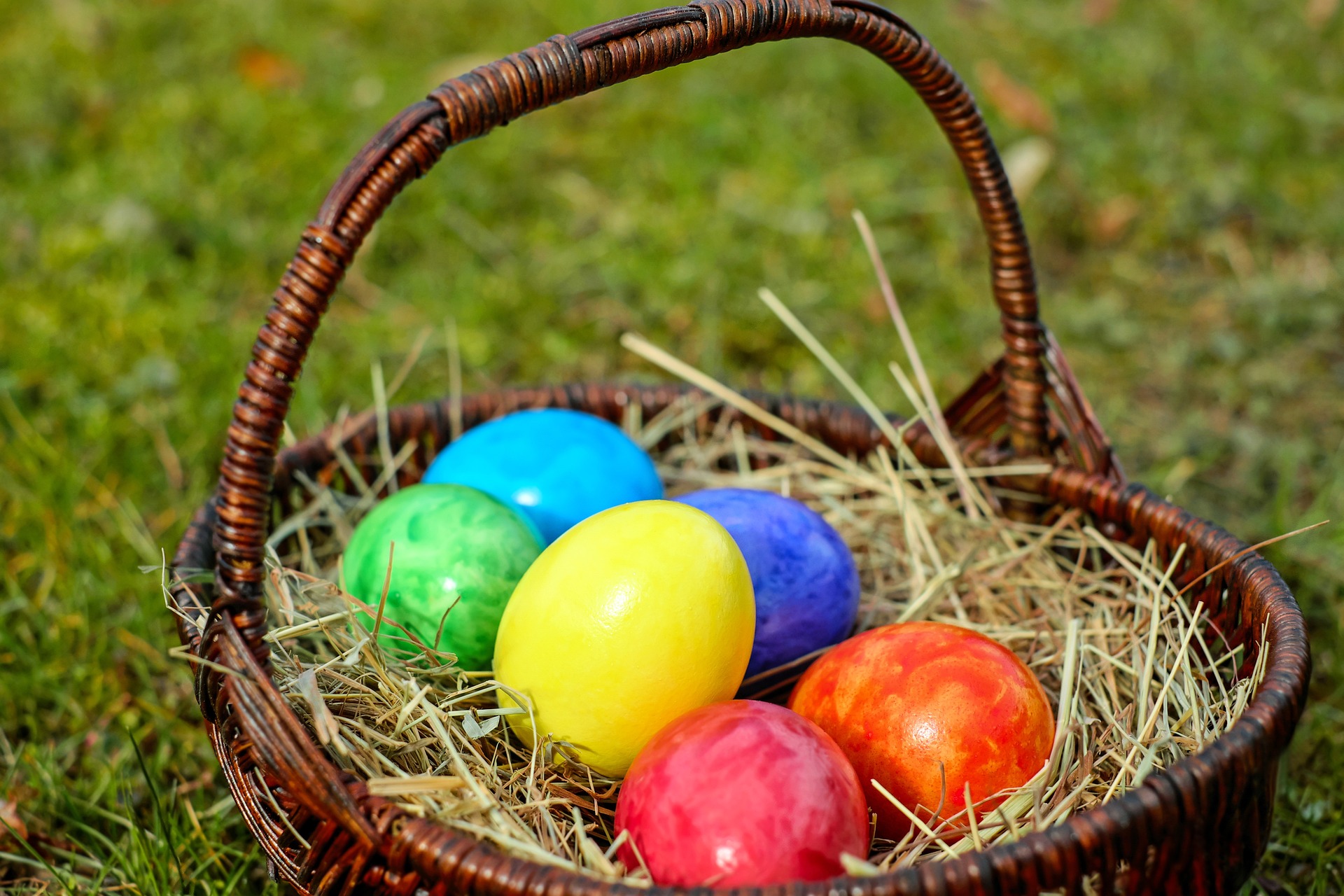 Easter 2023: Egg Hunts and Easter Family Days Out in Wales