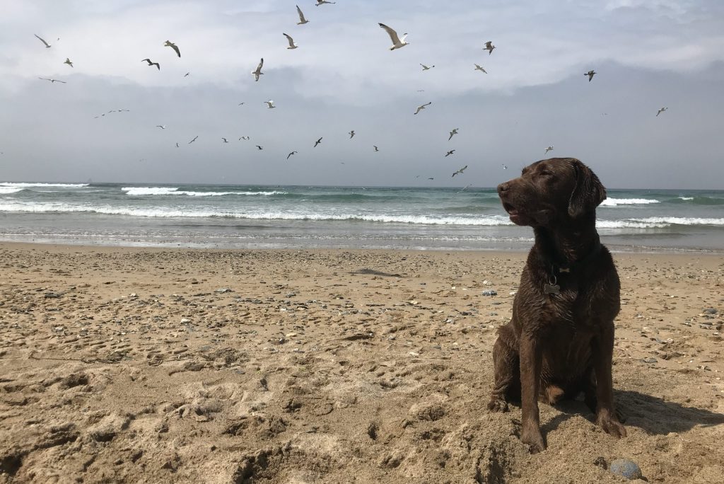 Top Tips for a Beautiful Beach Holiday in Wales in 2023