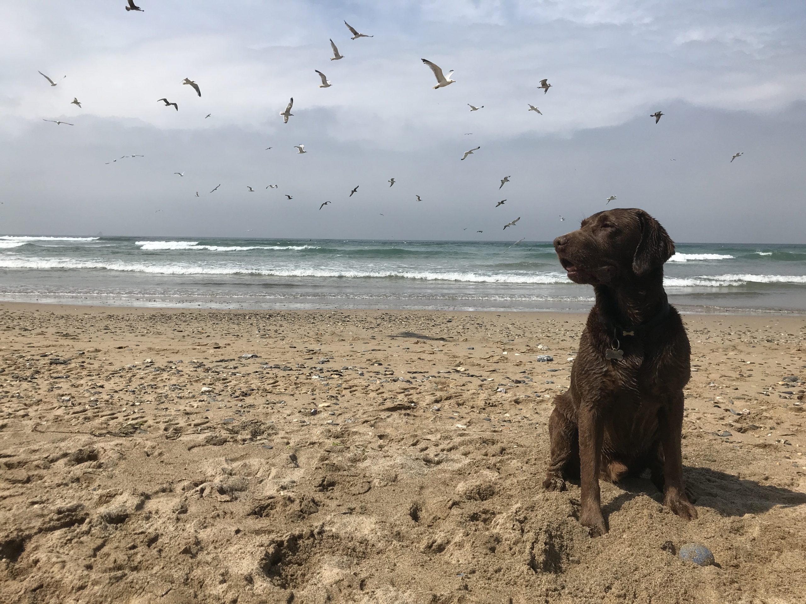 Top Tips for a Beautiful Beach Holiday in Wales in 2023