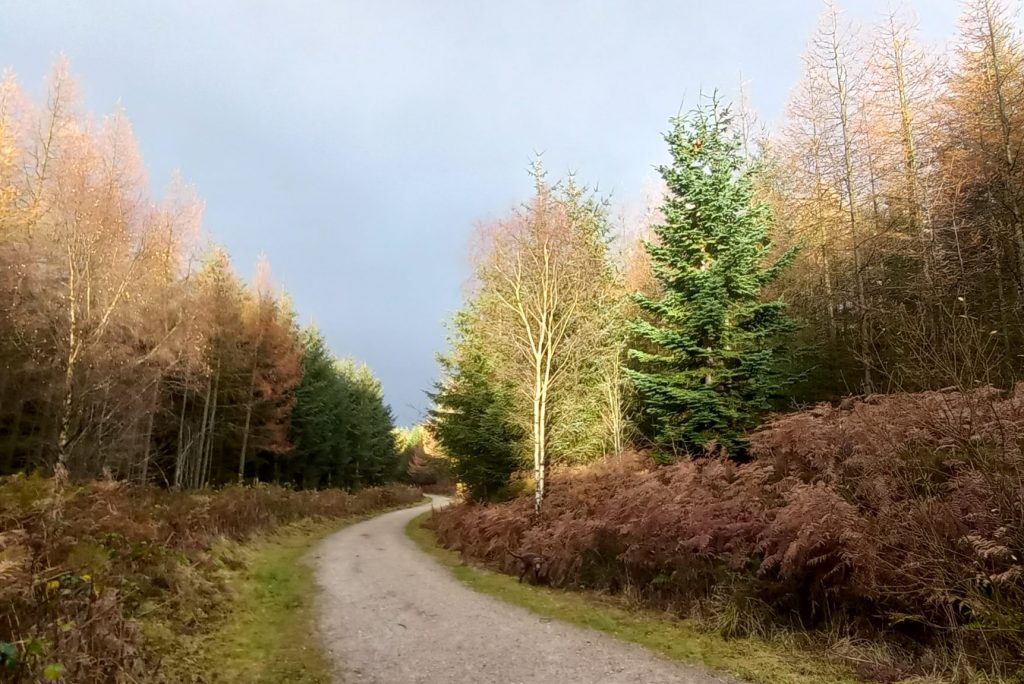 Autumn in Wales: The Perfect Getaway Destination