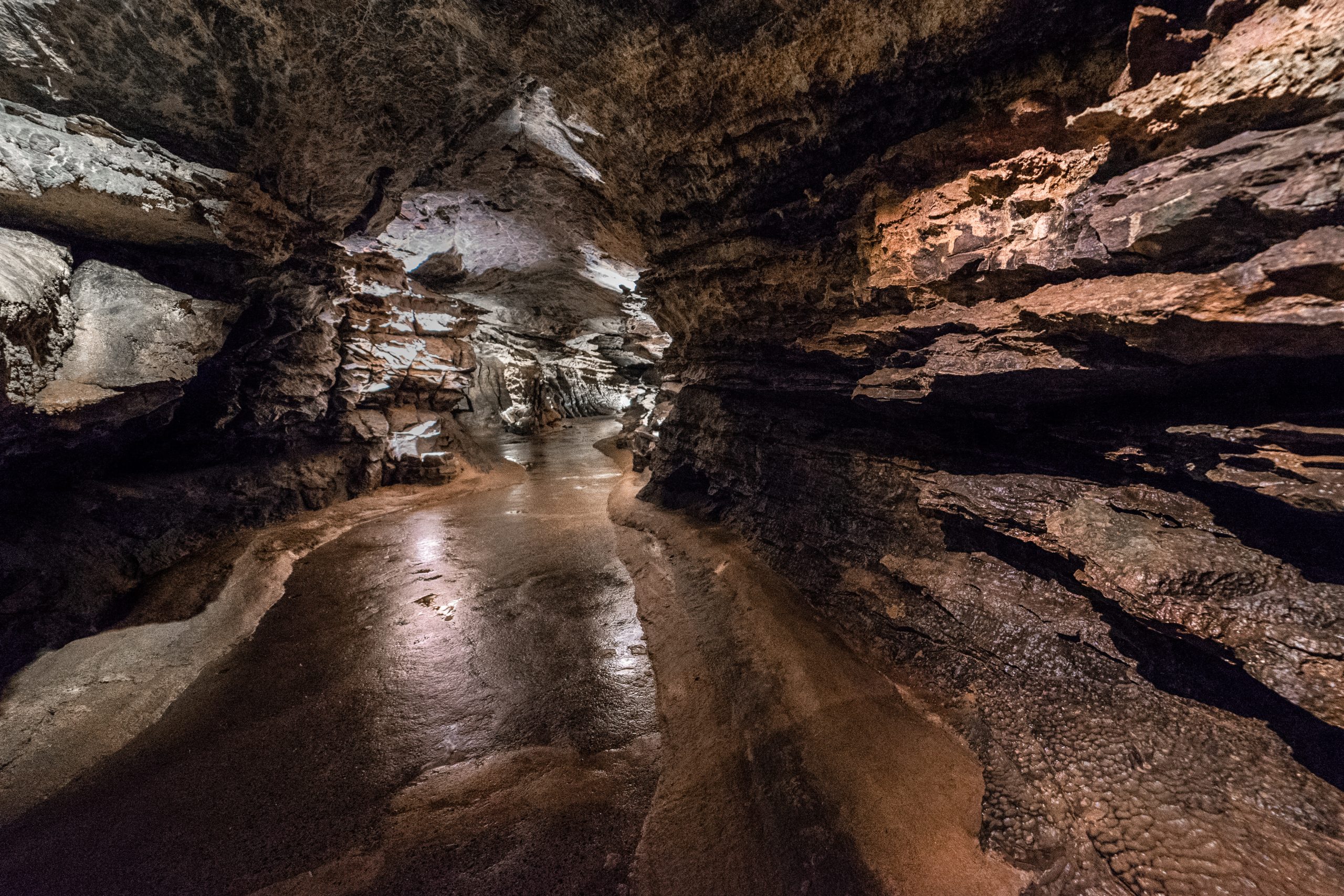 Unleash Your Inner Explorer: Dive into Wales’s Underground World This Winter