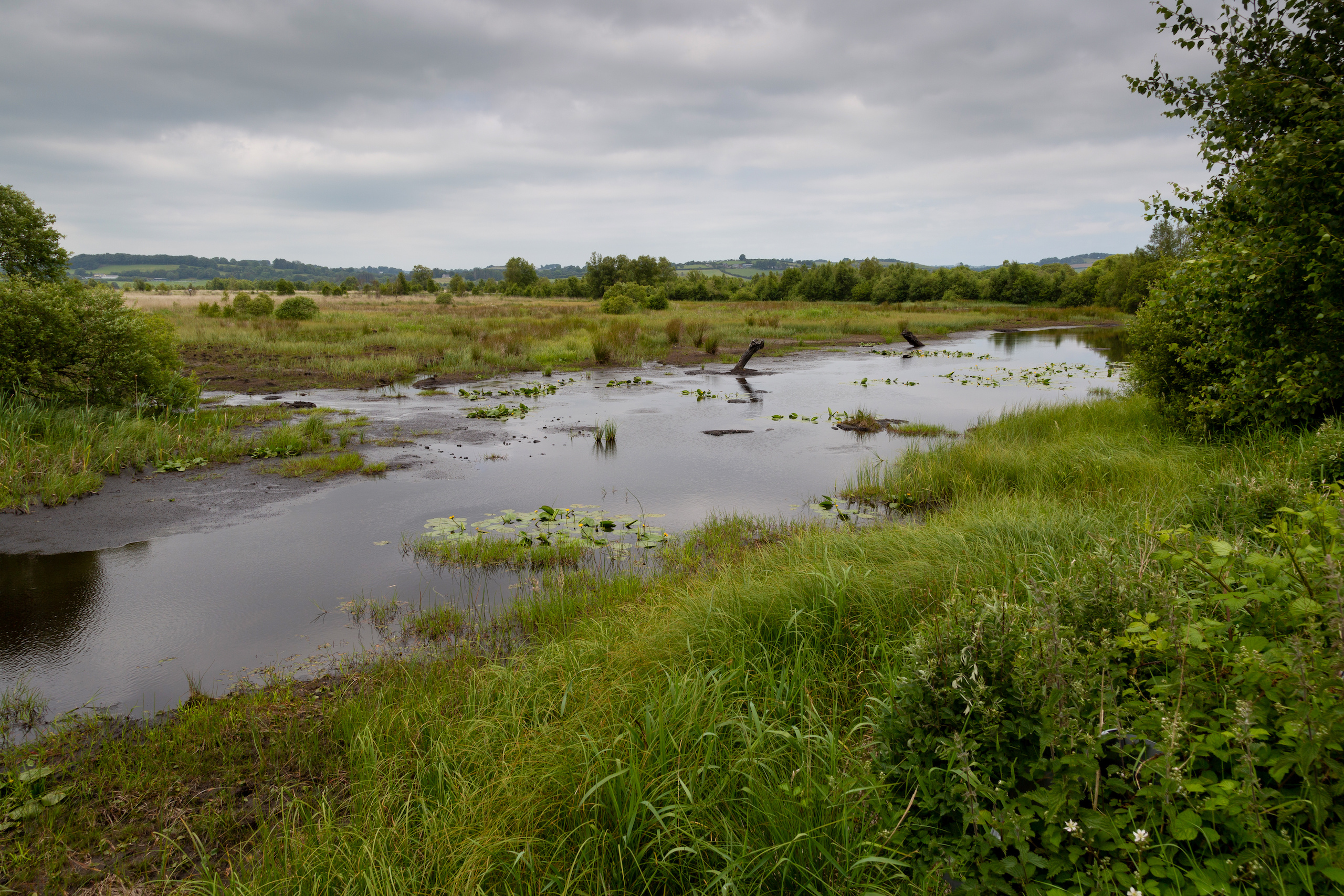 Roman Wales: Discover the Remnants of the Roman Empire in 7 Must-Visit Sites